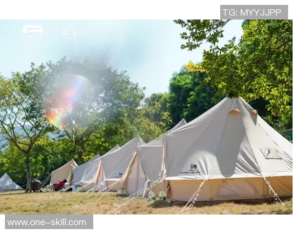 探索专业户外帐篷的选择与使用技巧让你的露营体验更加完美